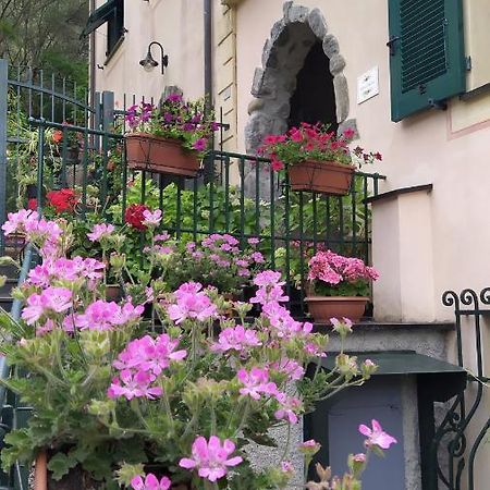 CarascoLa Casa Dell'Arco公寓 外观 照片